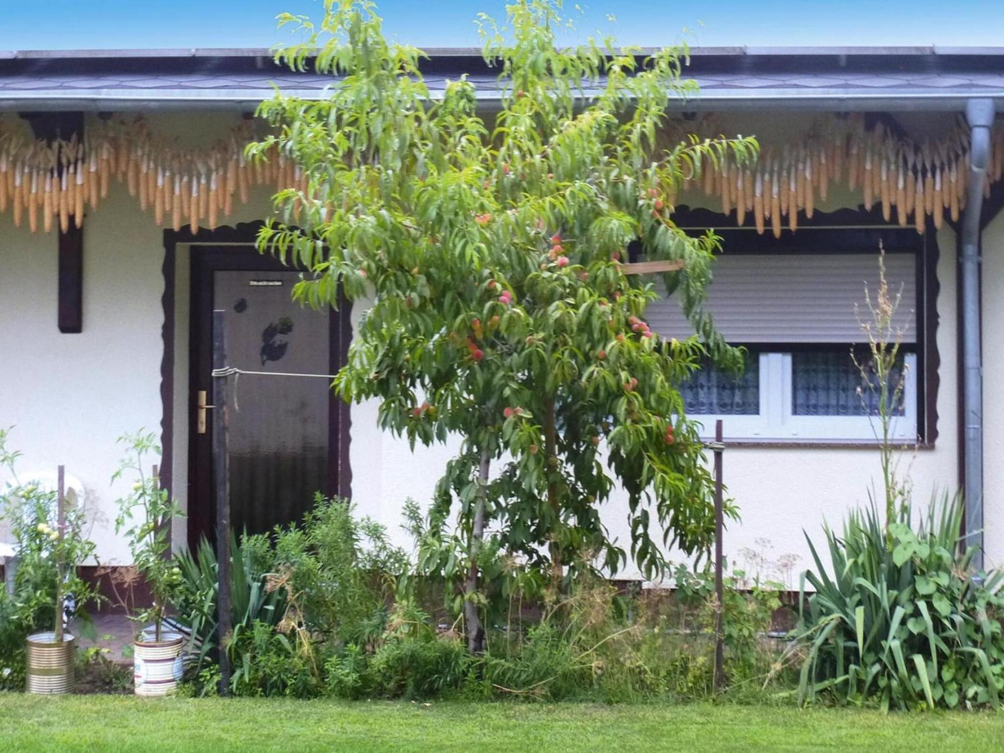 Bungalow In Luebben An Der Spree Екстериор снимка